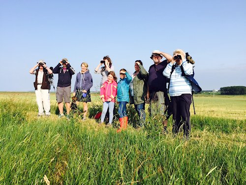 Beginners Guided Wildlife Walk, One Stop Nature Shop, Dalegate Market, Burnham Deepdale, North Norfolk Coast, PE31 8FB | A casual walk along flat terrain for novice birdwatchers and those new to the North Norfolk Coast. Book in advance in the One Stop Nature Shop. | birding, twitcher, wildlife watching, burnham deepdale, marshes, brancaster staithe, harbour, north norfolk coast Beginners Guided Wildlife Walk, One Stop Nature Shop, Dalegate Market, Burnham Deepdale, North Norfolk Coast, PE31 8FB | A casual walk along flat terrain for novice birdwatchers and those new to the North Norfolk Coast. Book in advance in the One Stop Nature Shop. | birding, twitcher, wildlife watching, burnham deepdale, marshes, brancaster staithe, harbour, north norfolk coast